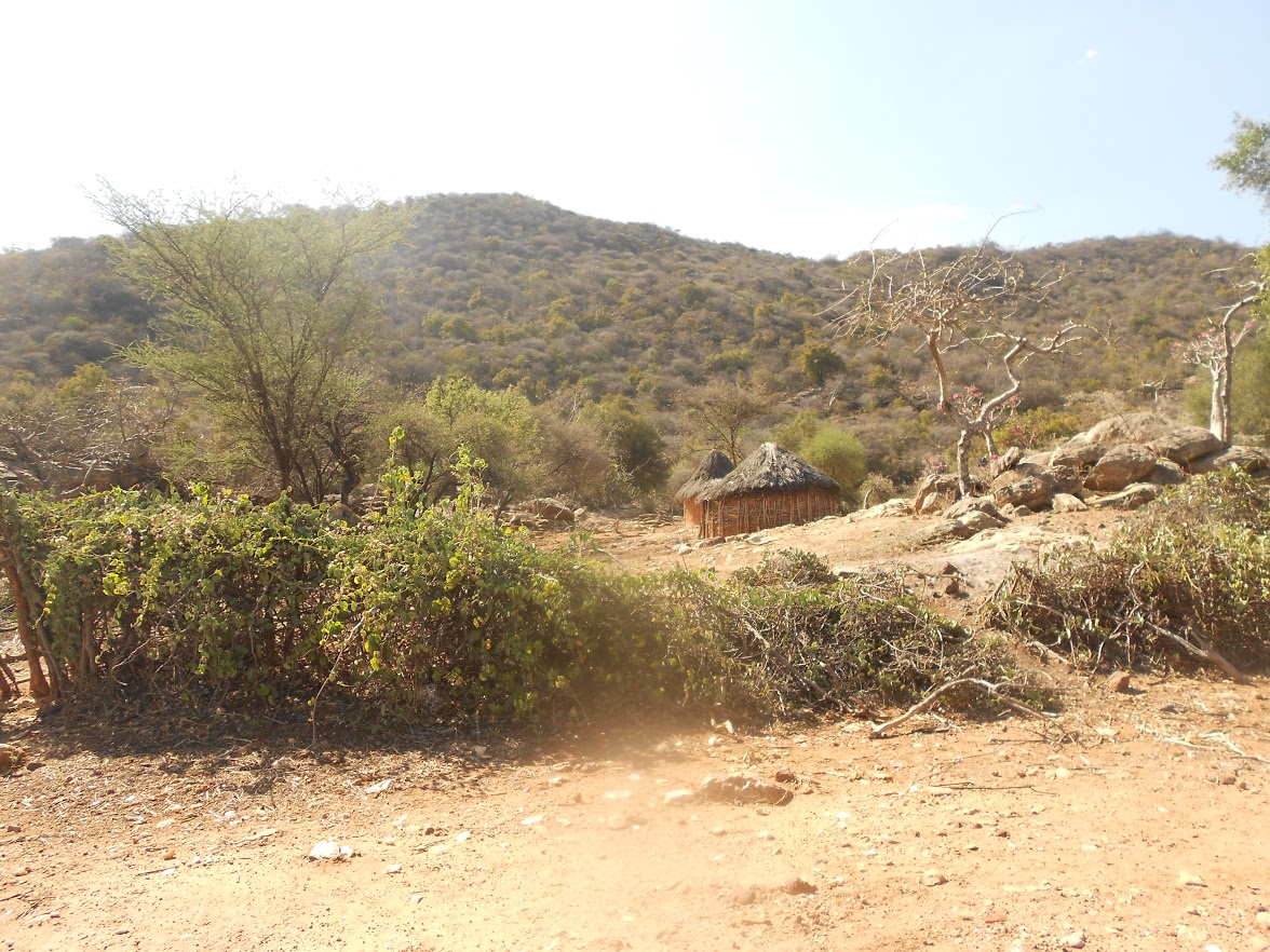 Dry hillside landscape surrounding the field operations area